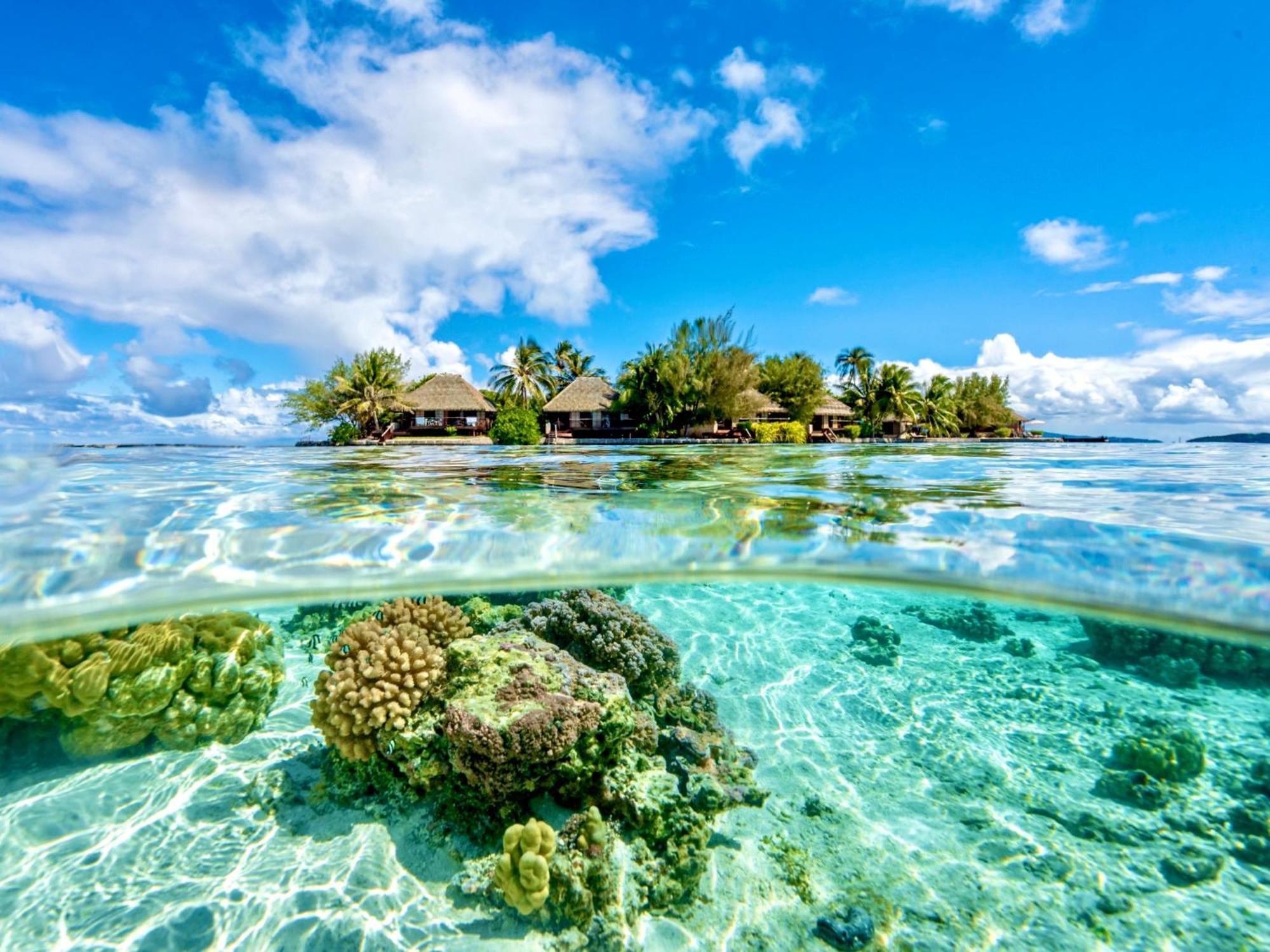 Hotel Eden Private Island Tahaa Patio  Exteriér fotografie